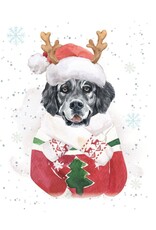 Feliz Naughty Dog Gift Enclosure