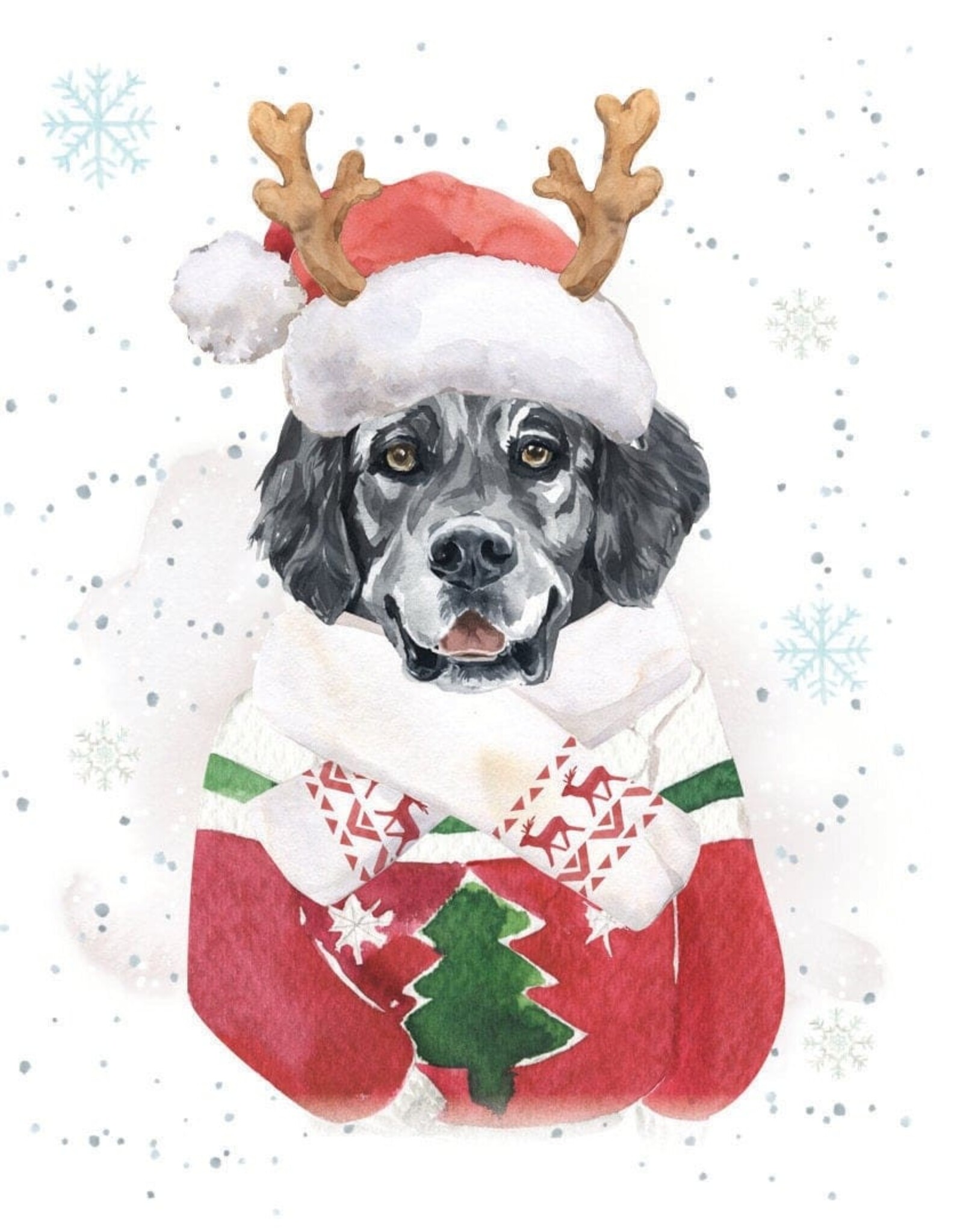Feliz Naughty Dog Gift Enclosure