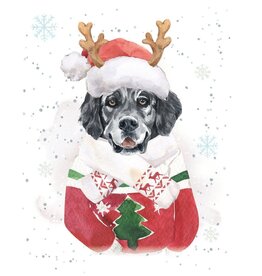 Feliz Naughty Dog Gift Enclosure