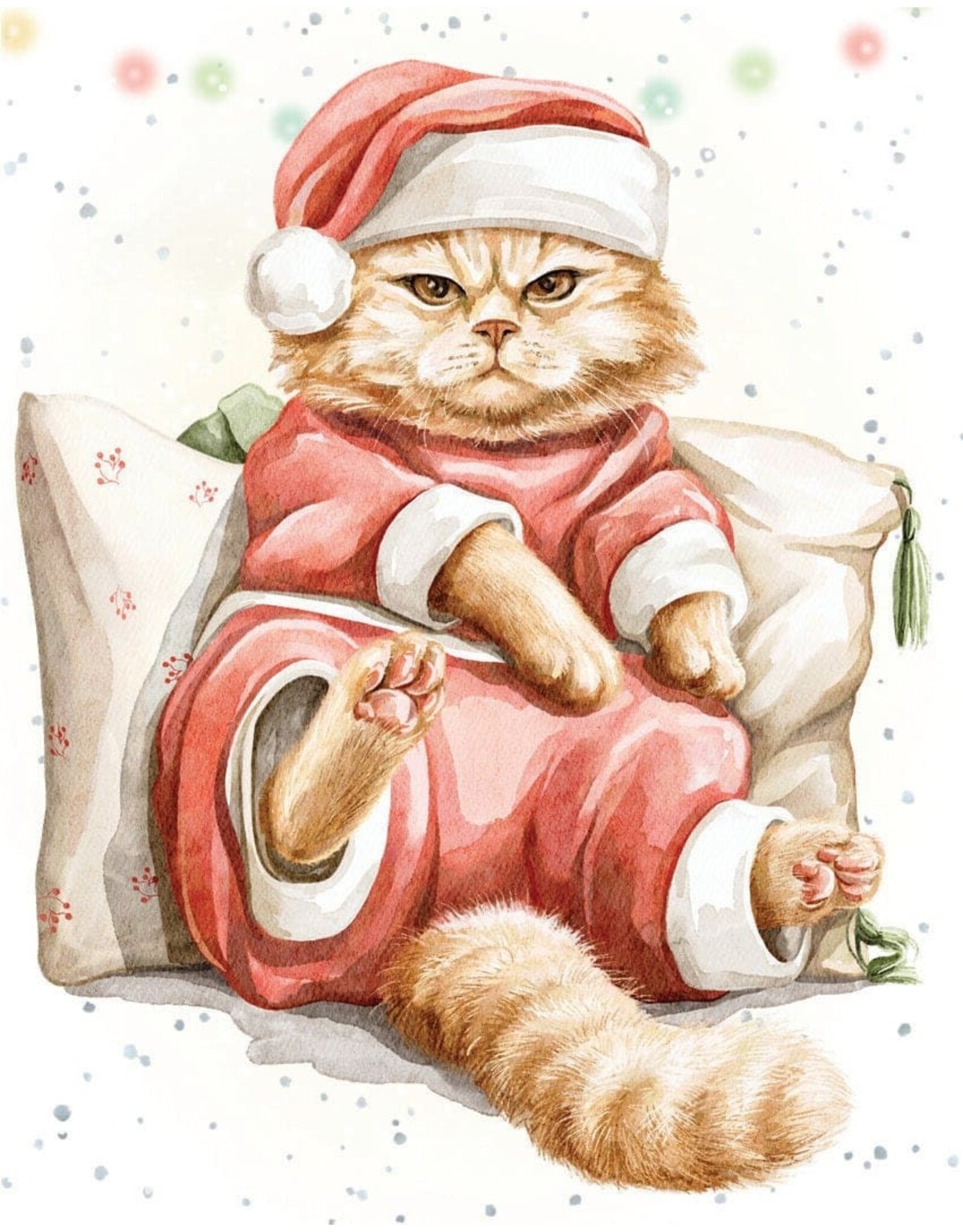 Grumpy Santa Gift Enclosure