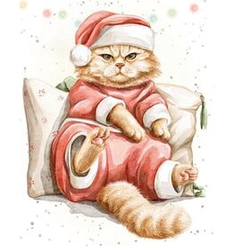 Grumpy Santa Gift Enclosure