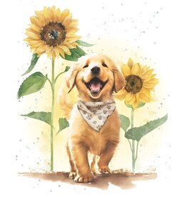 Filled With Sunshine Gift Enclosure