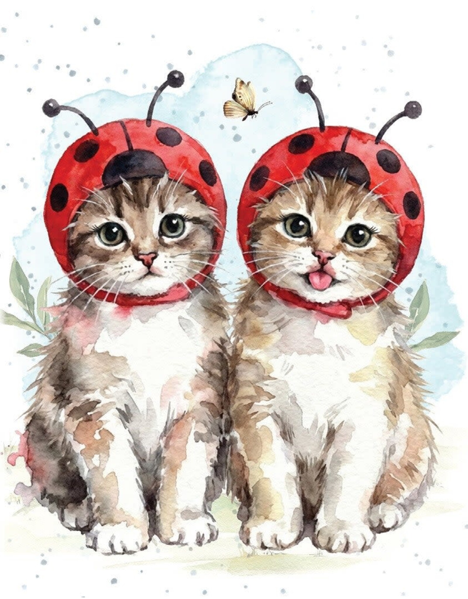 Hugs and Ladybugs Gift Enclosure