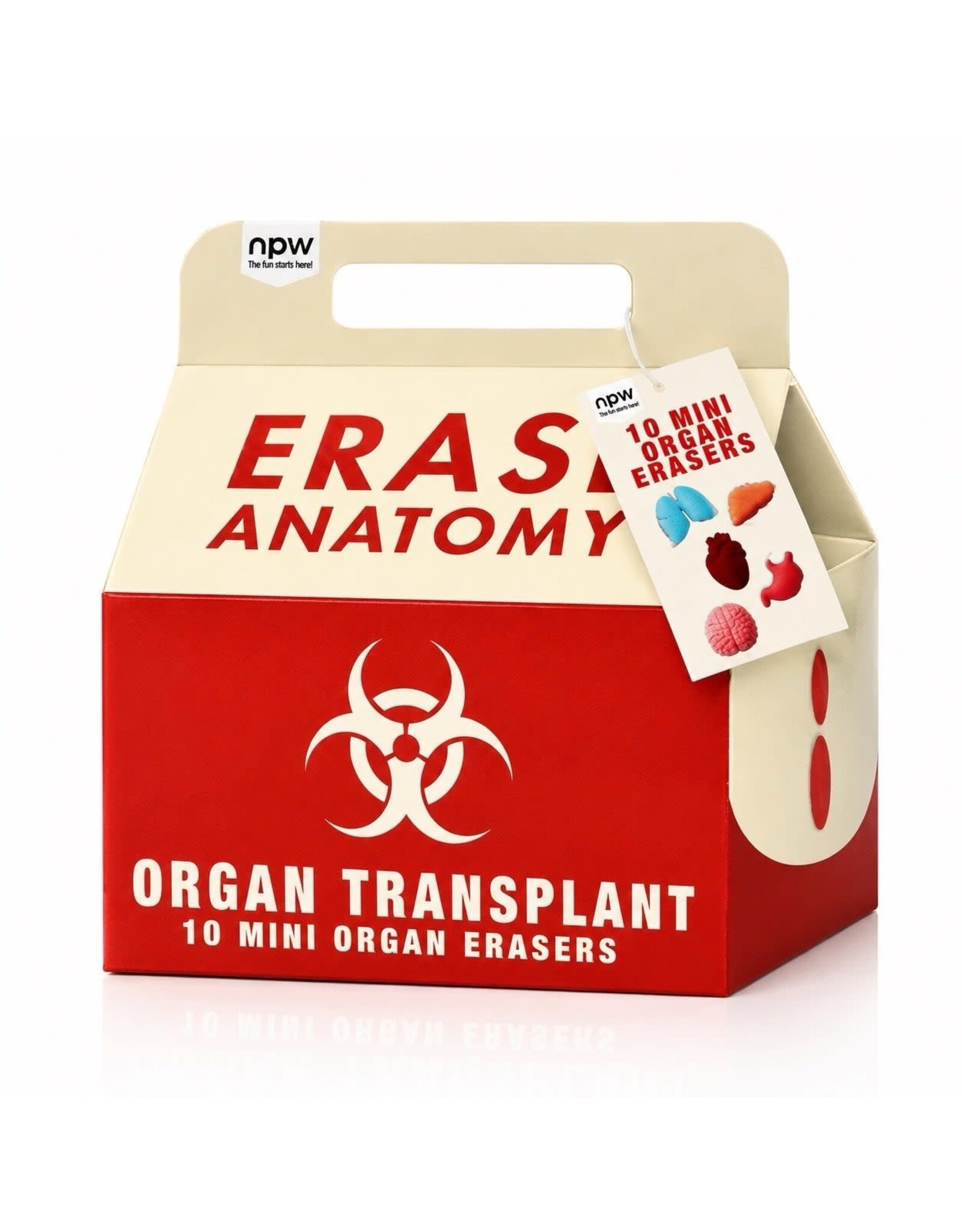 npw Eraser - Anatomy