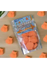 Gift Republic Capybara Bath Bomb