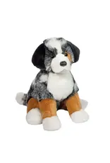 Douglas Aspen Australian Shepherd