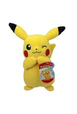 Pokemon Pikachu Pokemon Plush