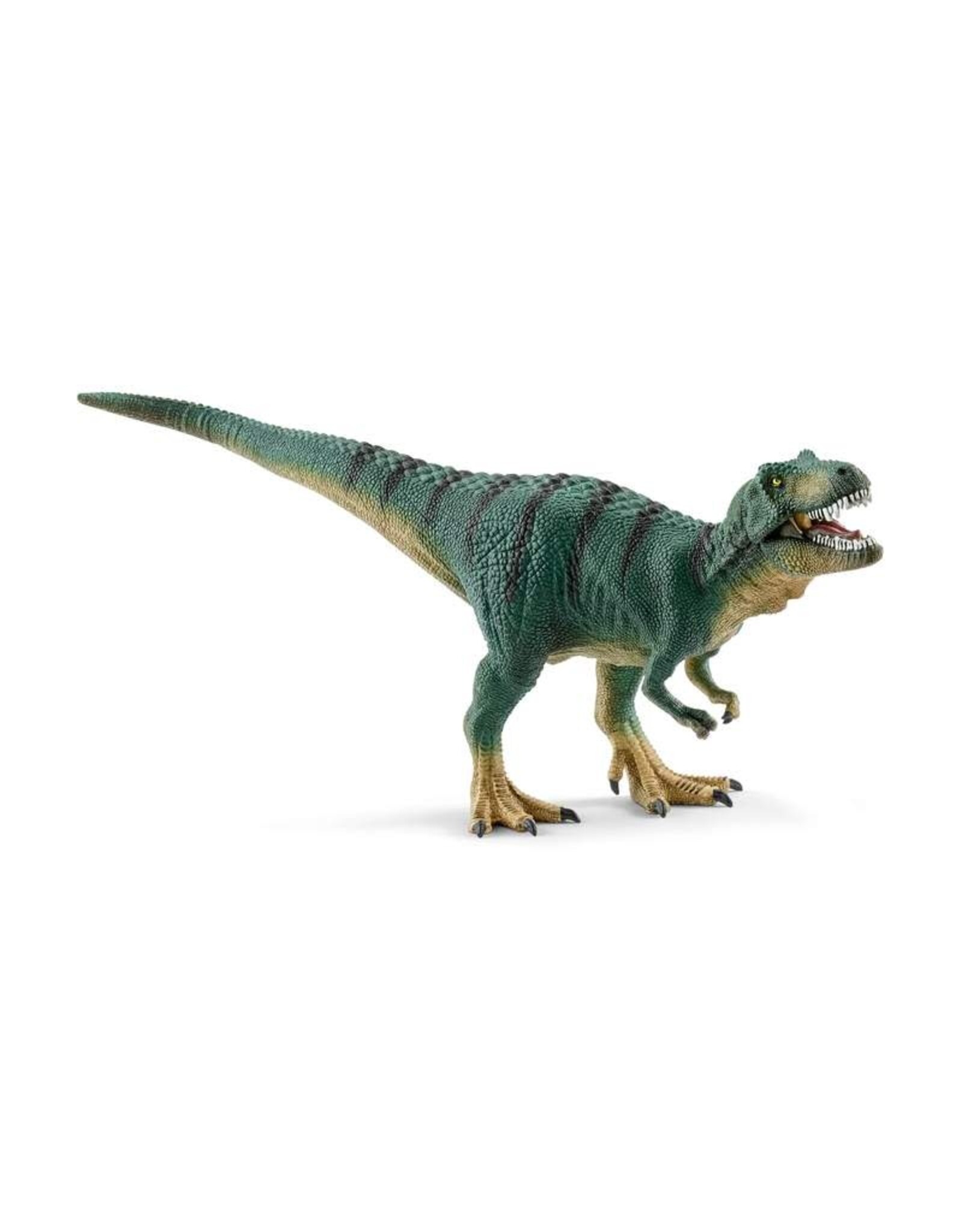 Schleich Juvenile Tyrannosaurus Rex