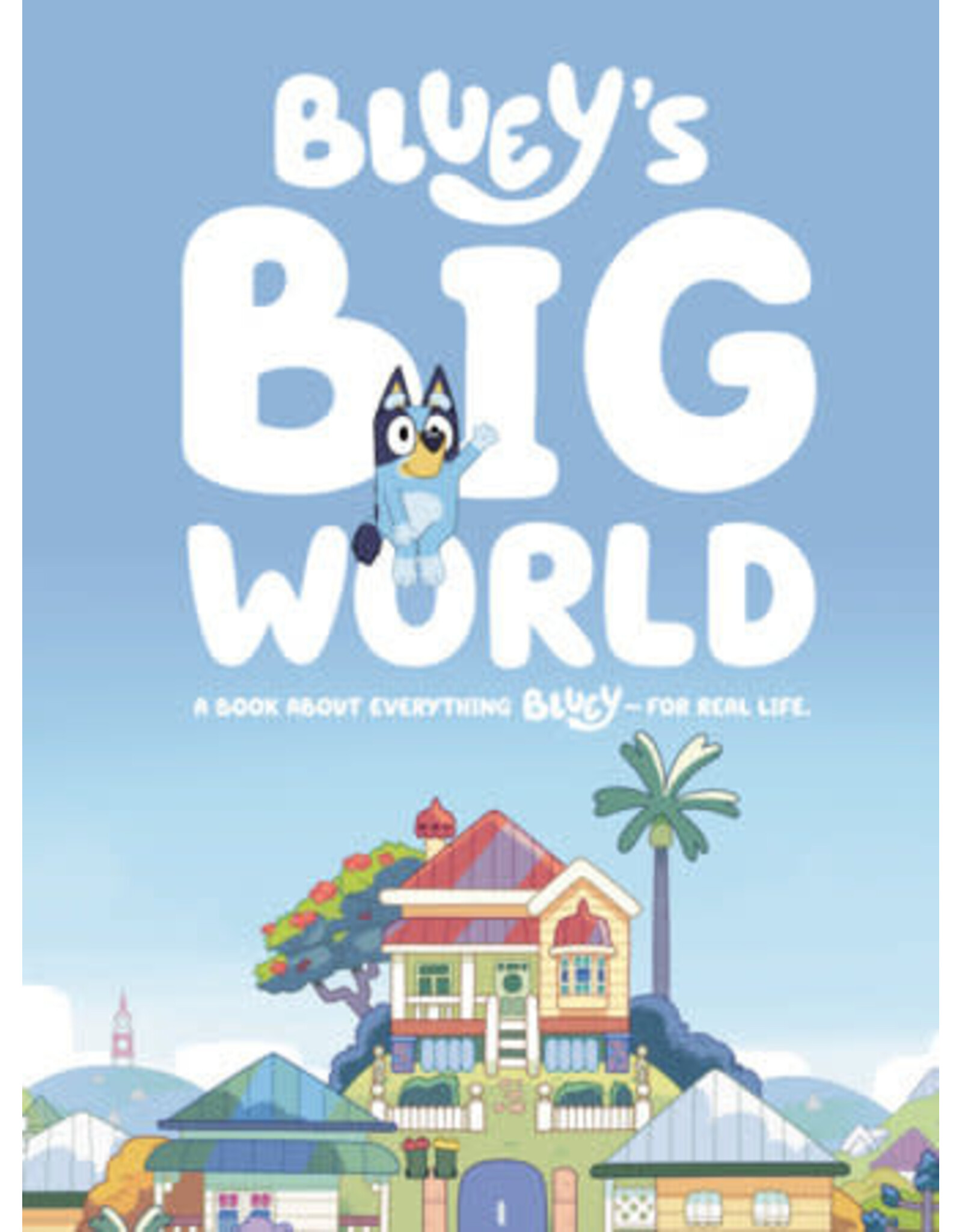 Bluey's Big World