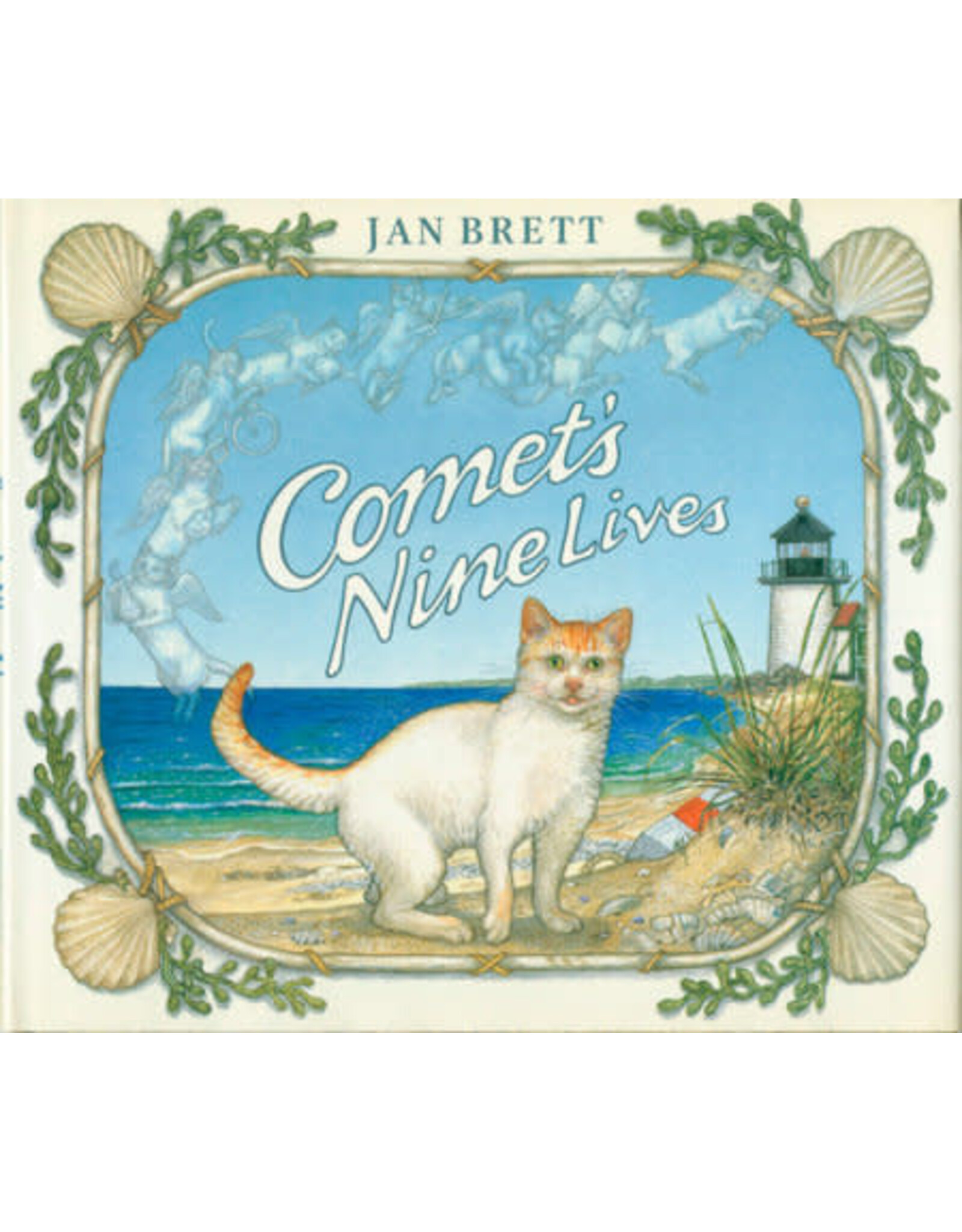 Comet's Nine Lives
