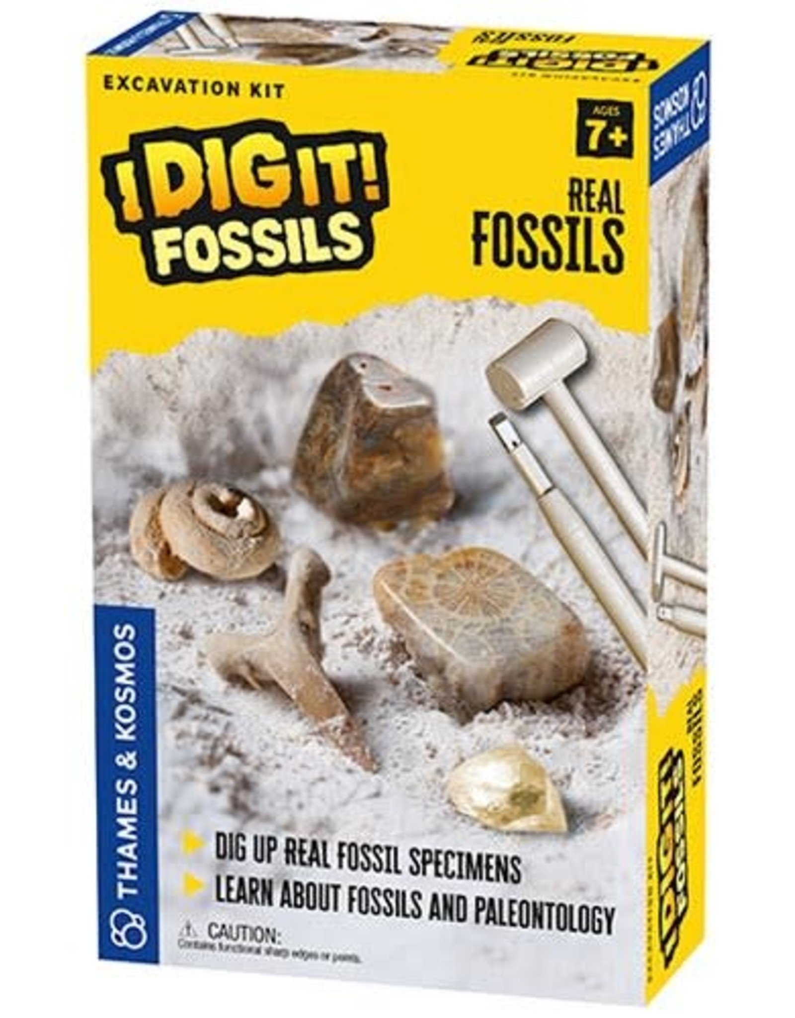 Thames & Kosmos I Dig It! Real Fossils Excavation Kit