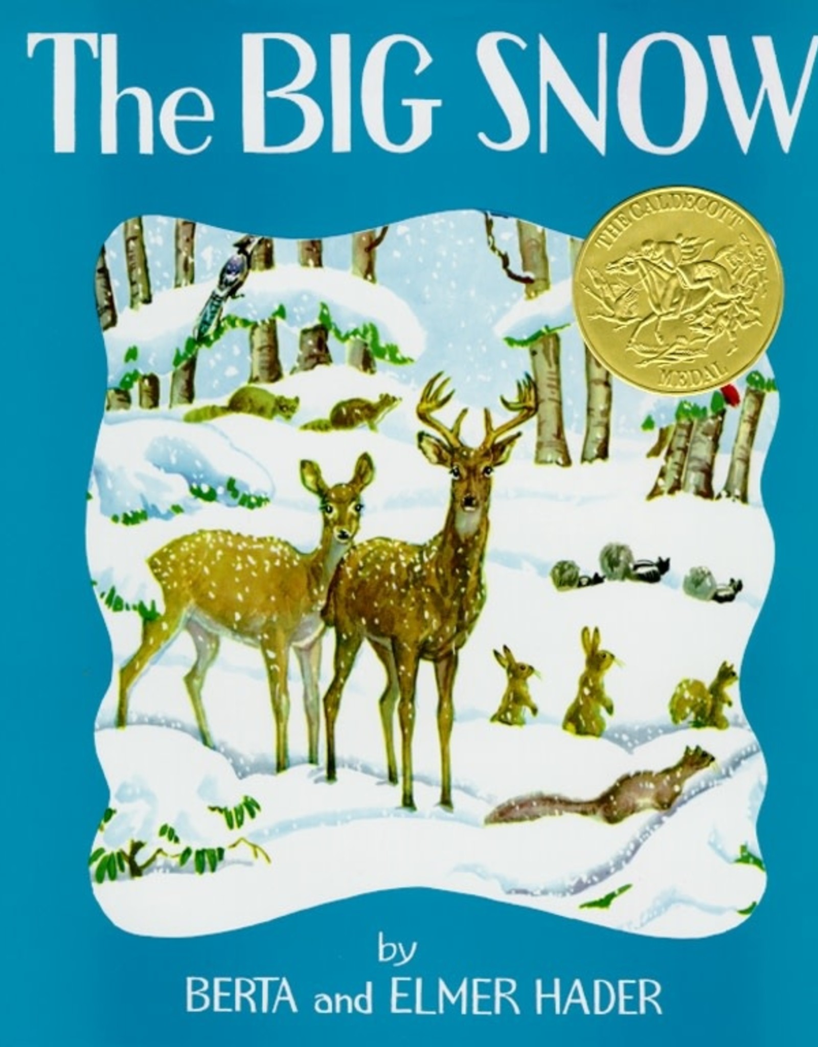 Simon & Schuster The Big Snow