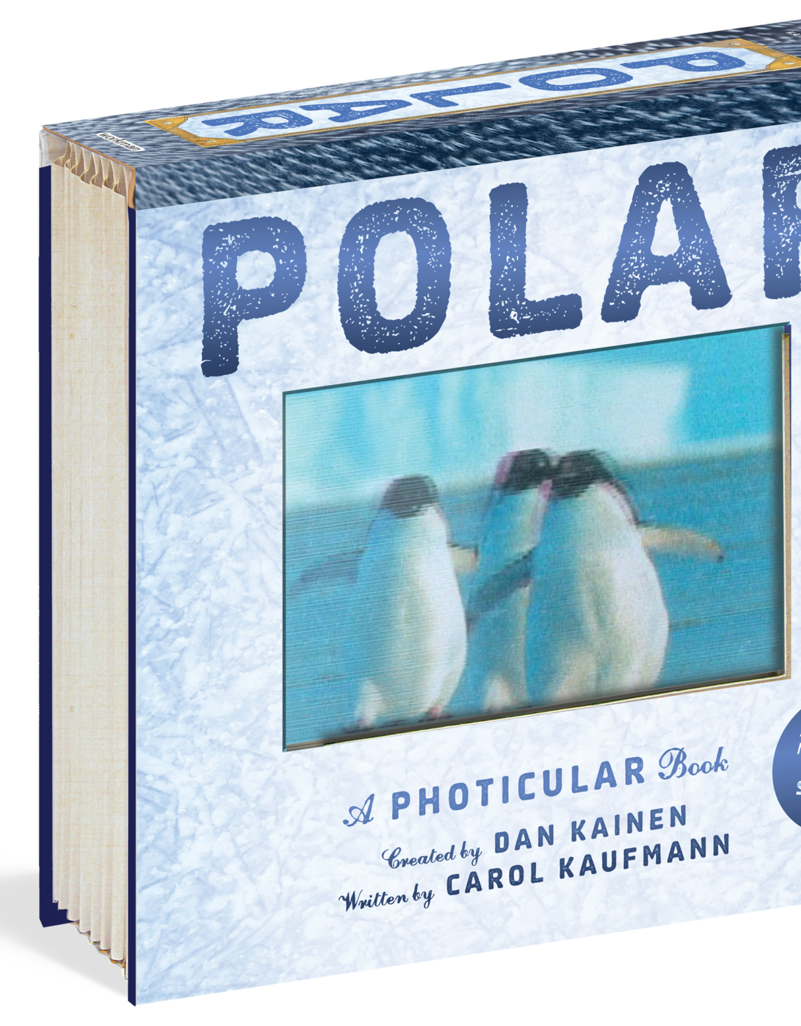 Workman Publishing Photicular: POLAR