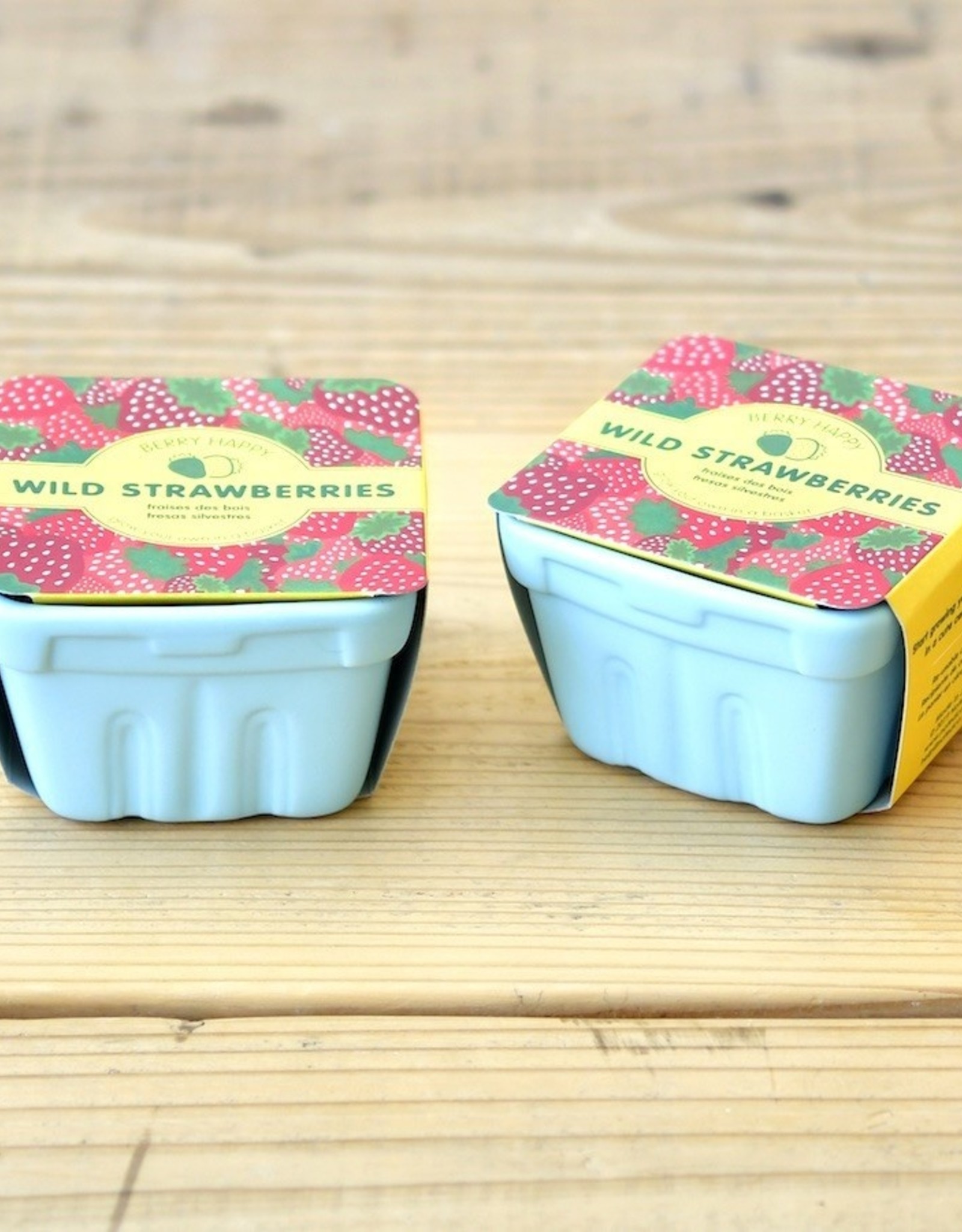 Camp Kit 1: Nature & Outdoors, 6+