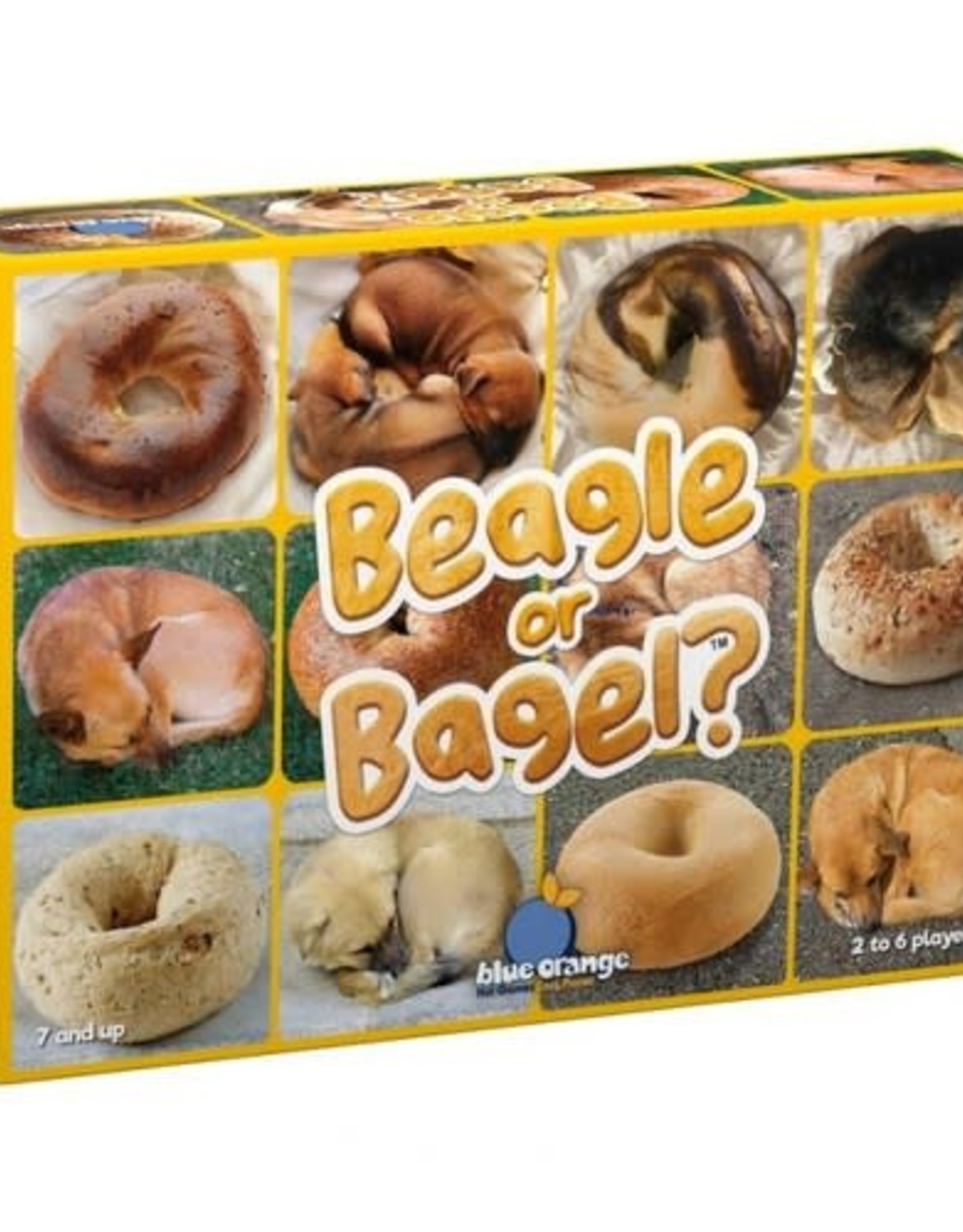 Blue Orange Beagle or Bagel?