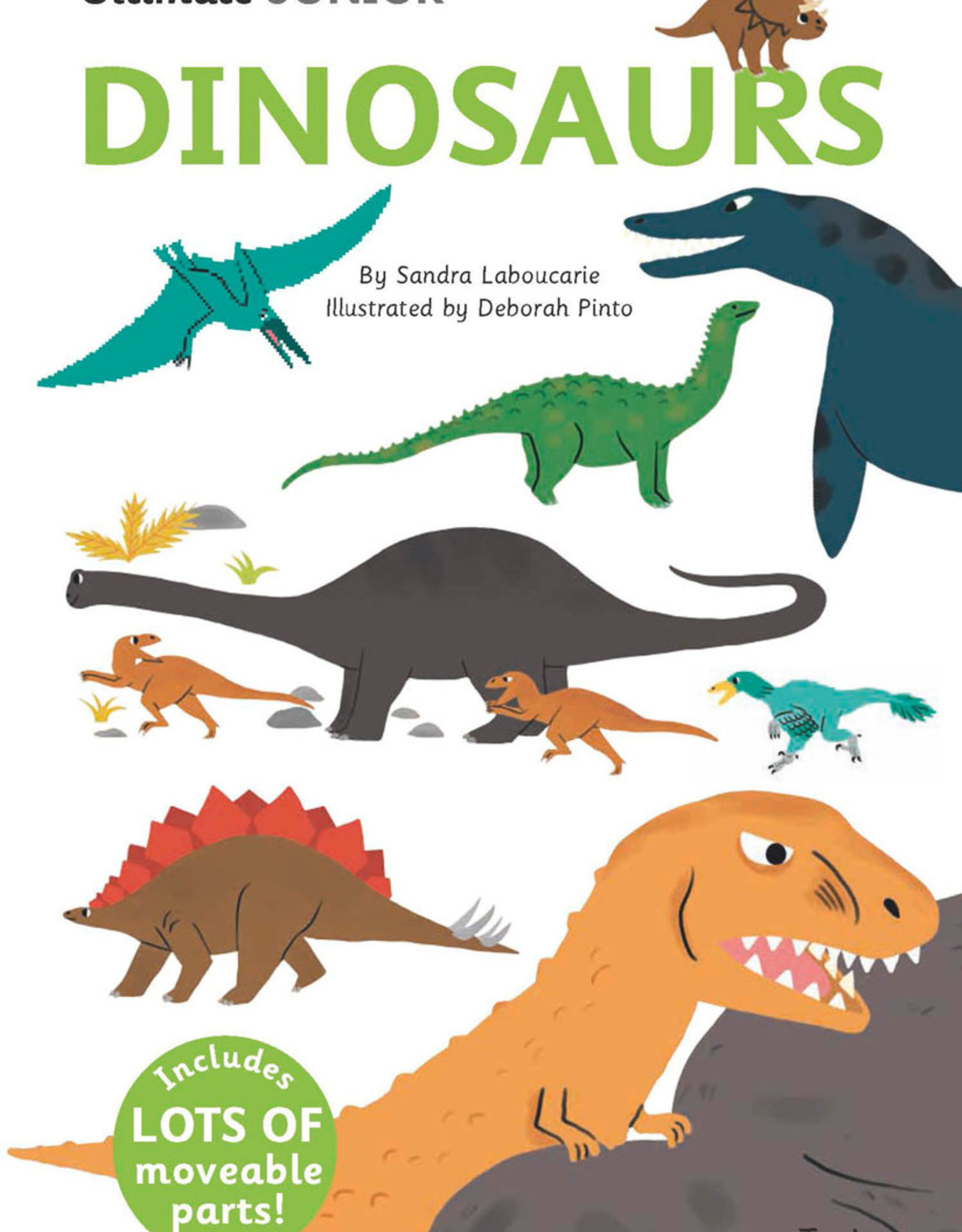 Camp Kit 2: Dino Discovery 3-5yrs