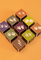 Uncle Goose Dinosaur Blocks
