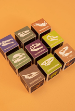 Uncle Goose Dinosaur Blocks