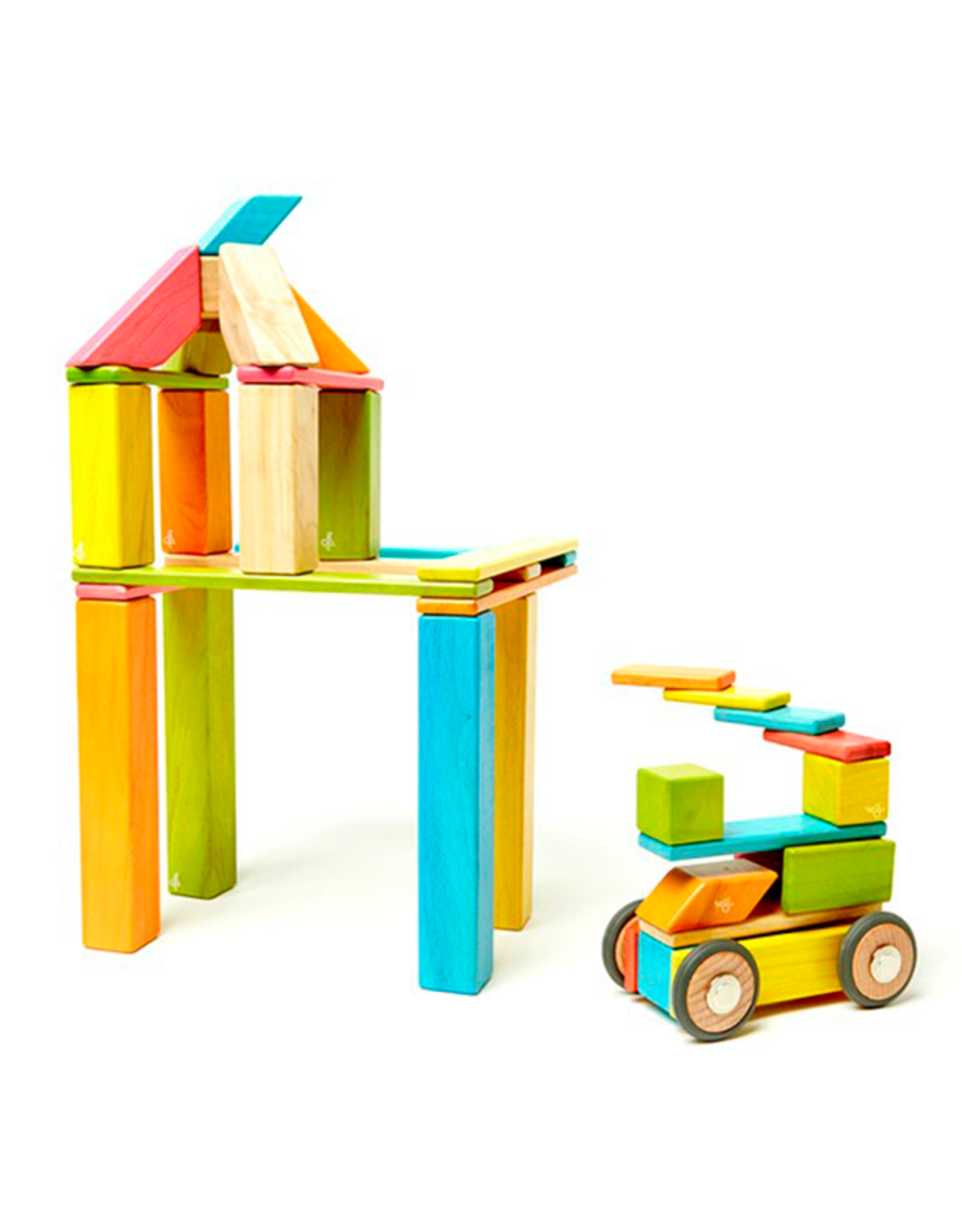 Tegu 42-Piece Set: Tints