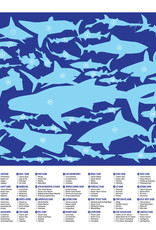 Crocodile Creek 100pc Puzzle: 36 Sharks