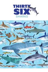 Crocodile Creek 100pc Puzzle: 36 Sharks