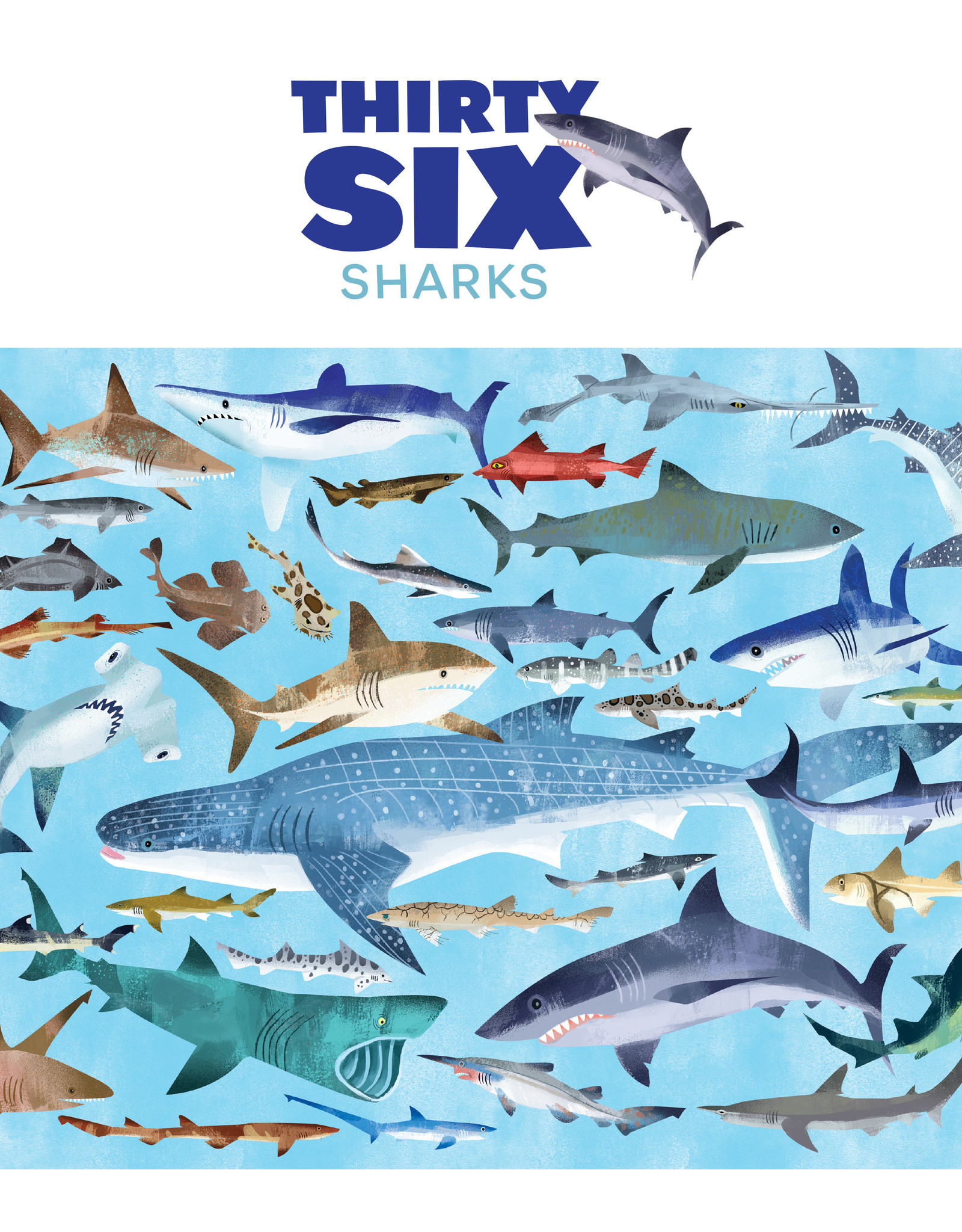 Crocodile Creek 100pc Puzzle: 36 Sharks