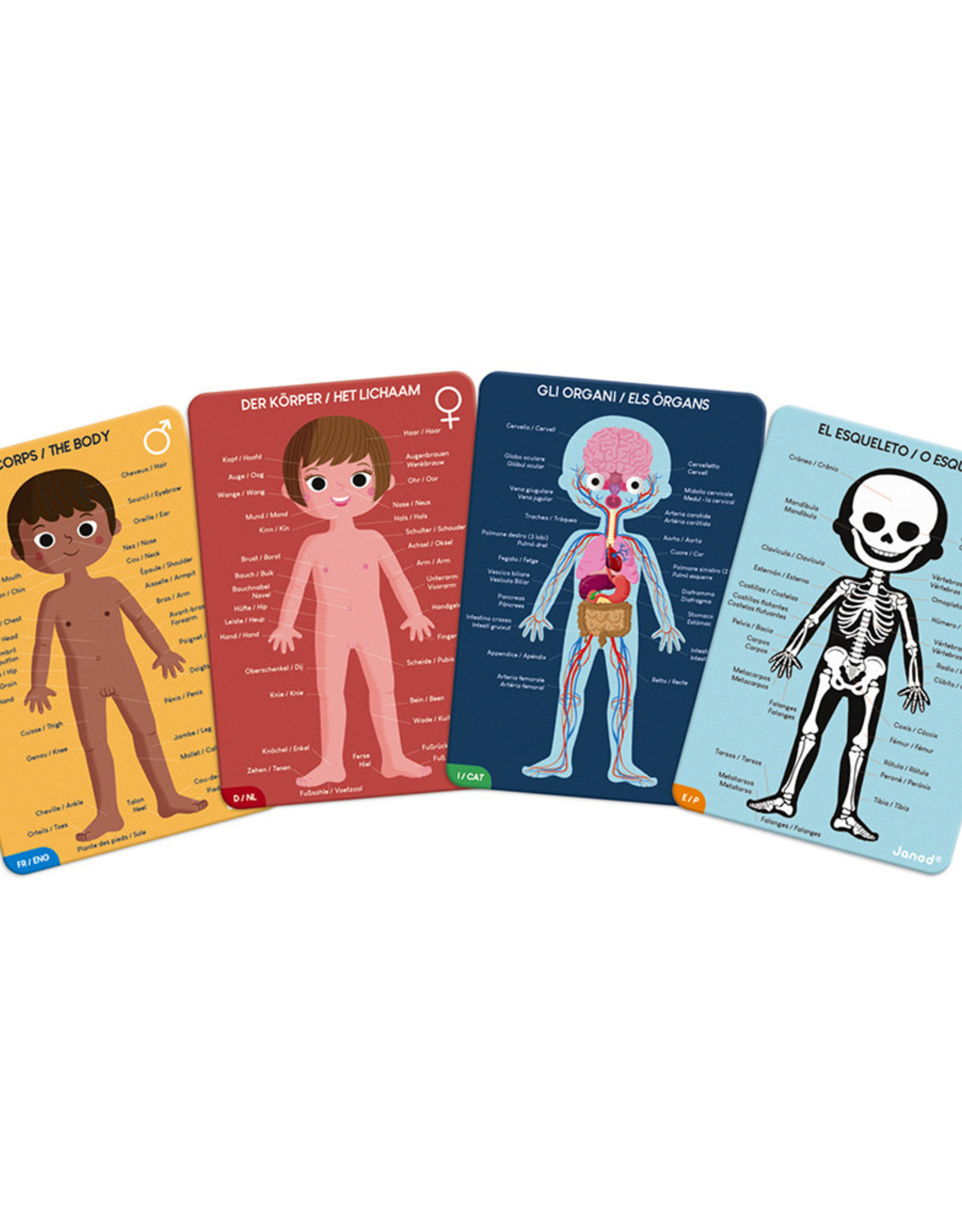 Janod Educational Puzzle Human Body