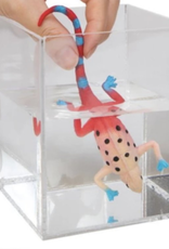 Schylling Color Changing Revealeons