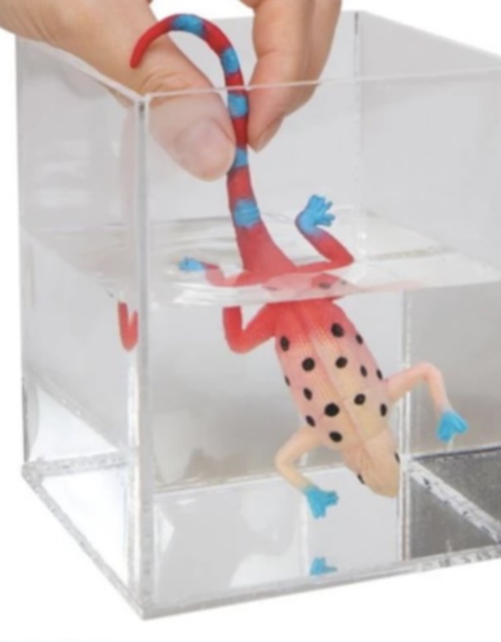 Schylling Color Changing Revealeons