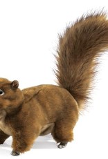 Folkmanis Puppet: Red Squirrel