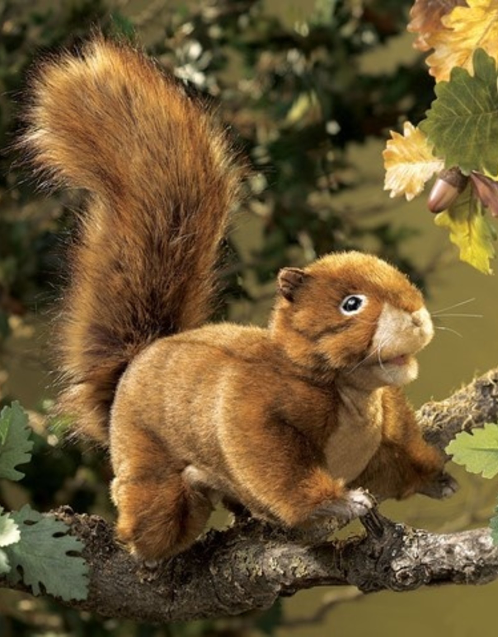 Folkmanis Puppet: Red Squirrel