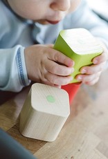 Tegu Baby's First Blocks: 6pc