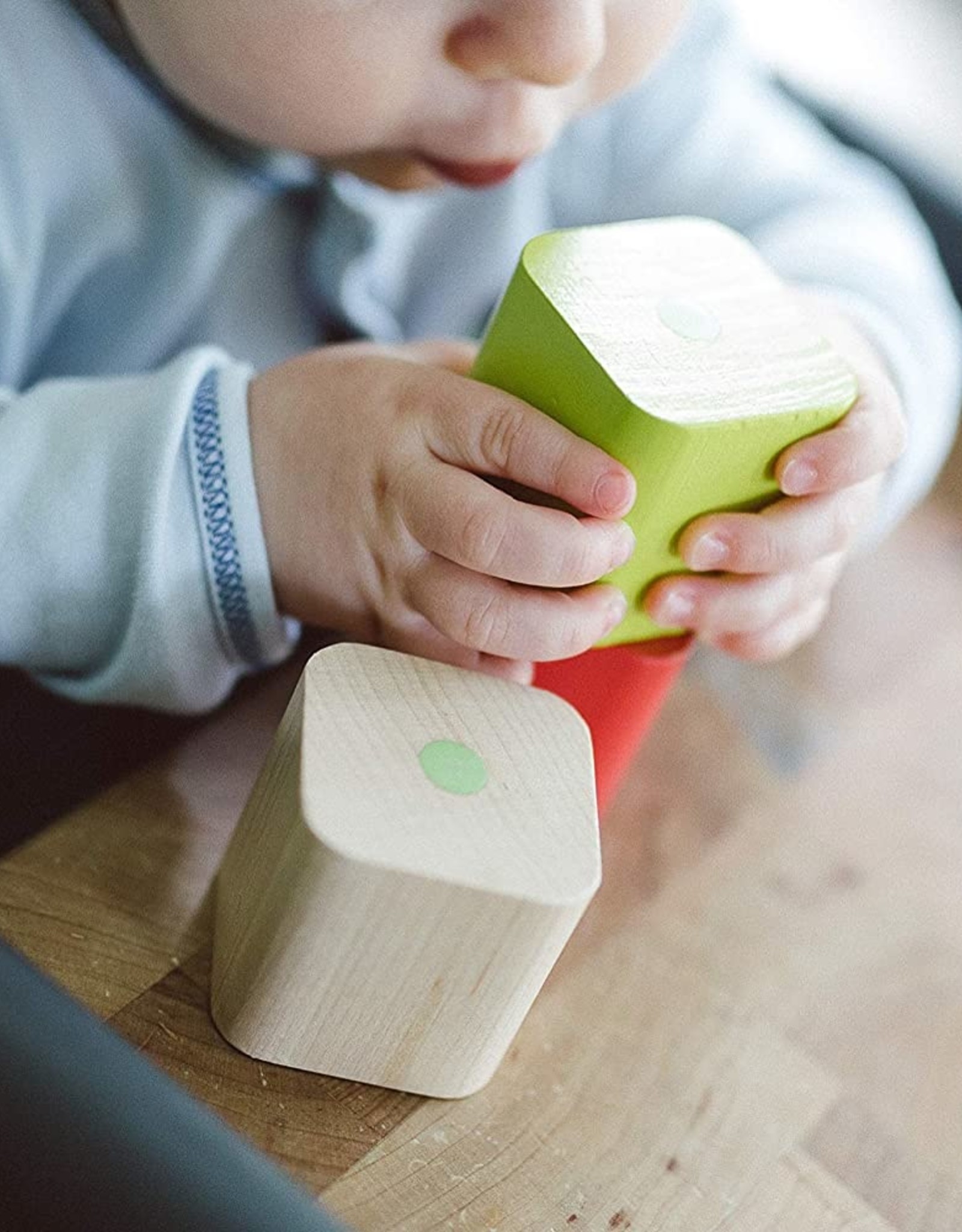 Tegu Baby's First Blocks: 6pc