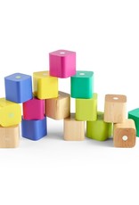 Tegu Baby's First Blocks: 6pc