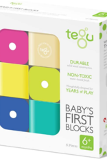 Tegu Baby's First Blocks: 6pc