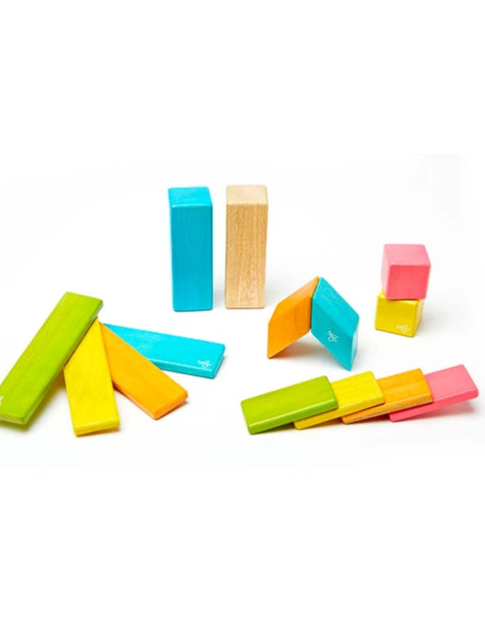 Tegu 14-Piece Set: Tints