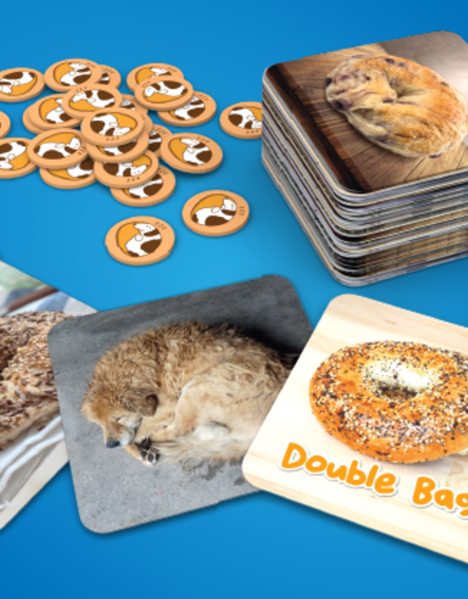 Blue Orange Beagle or Bagel?