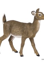 Hotaling PAPO: White-Tailed Doe