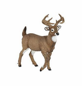 Hotaling PAPO: White-Tailed Deer