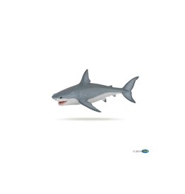 Hotaling PAPO: White Shark