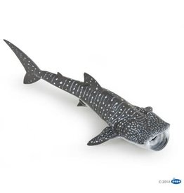 Hotaling PAPO: Whale Shark