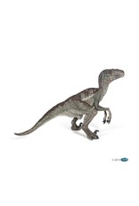 Hotaling PAPO: Velociraptor