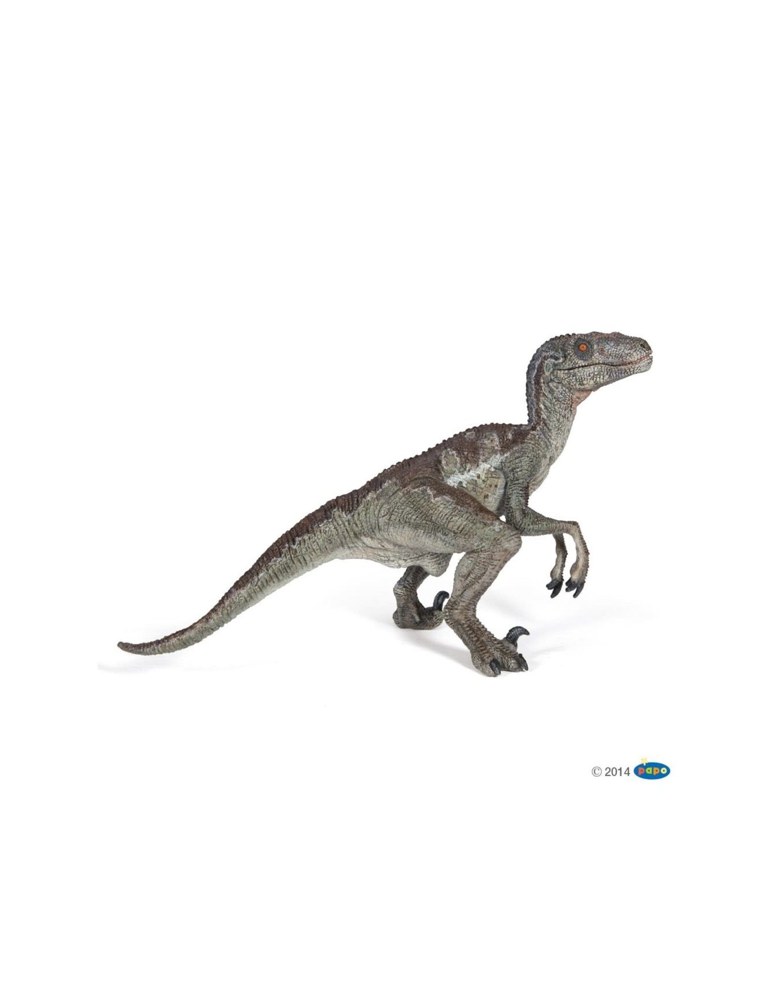 Hotaling PAPO: Velociraptor
