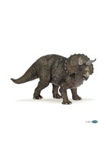 Hotaling PAPO: Triceratops