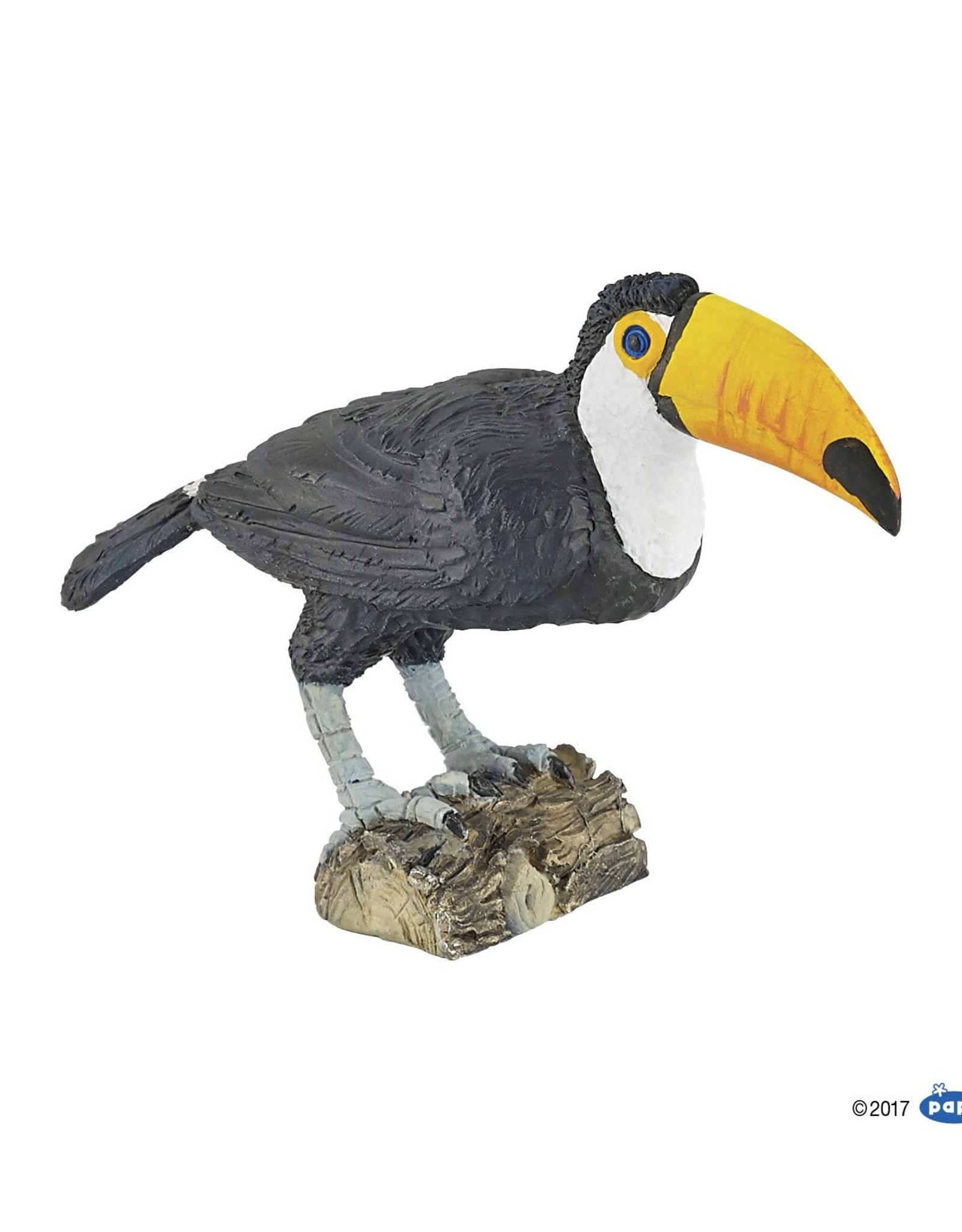 Hotaling PAPO: Toucan