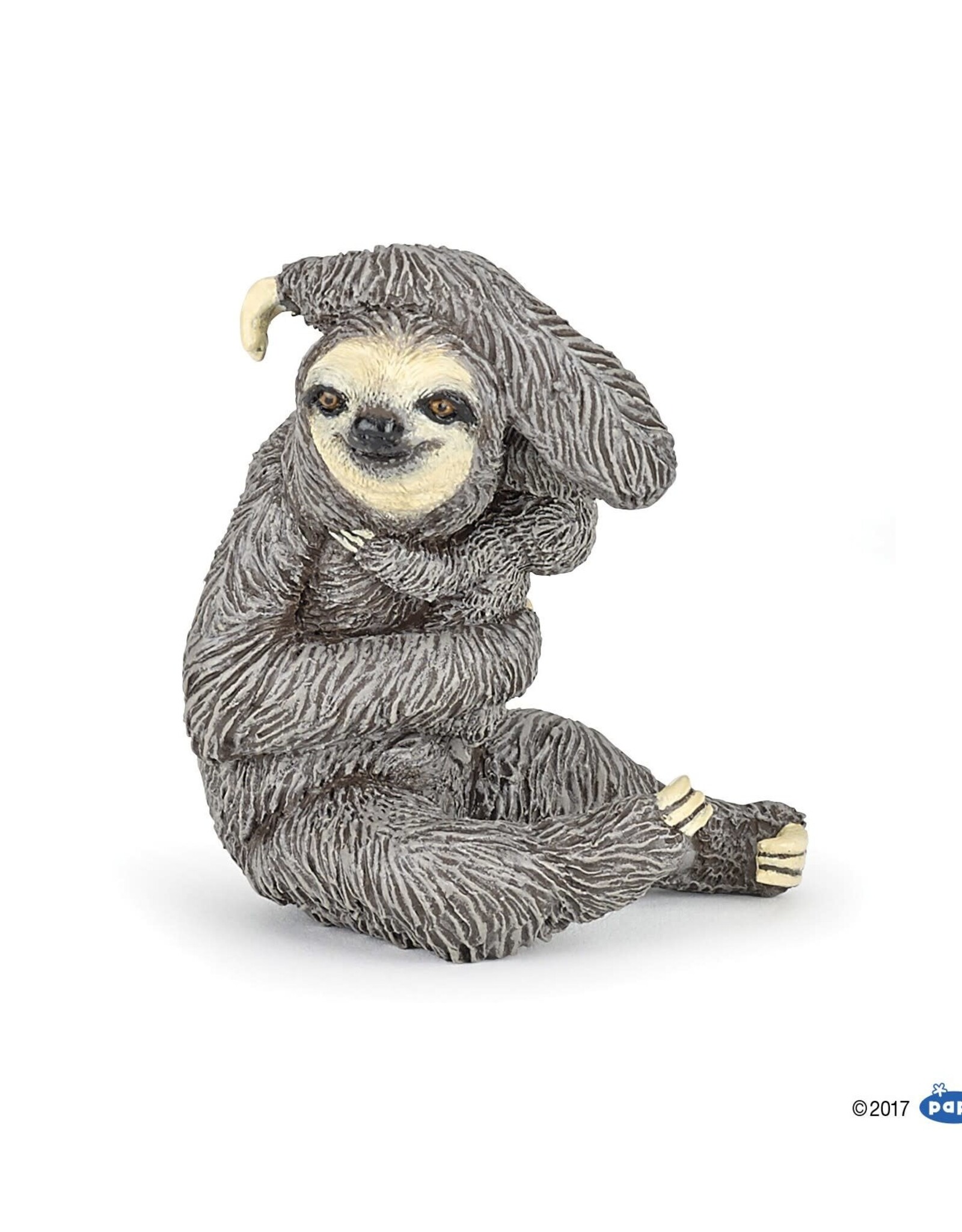 Hotaling PAPO: Sloth