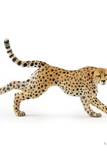 Hotaling PAPO: Running Cheetah