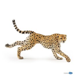 Hotaling PAPO: Running Cheetah
