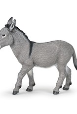 Hotaling PAPO: Provence Donkey
