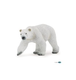 Hotaling PAPO: Polar Bear